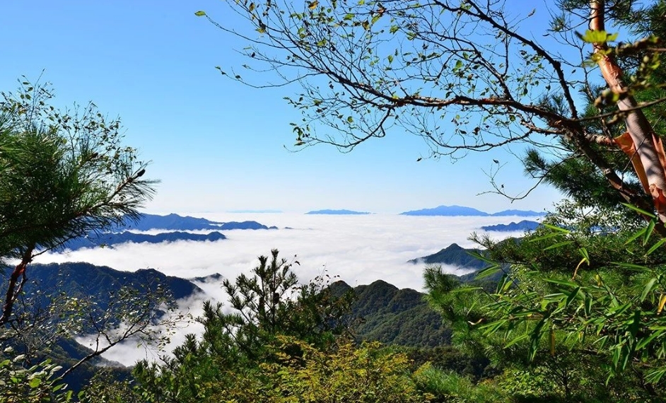 终南山秦楚古道
