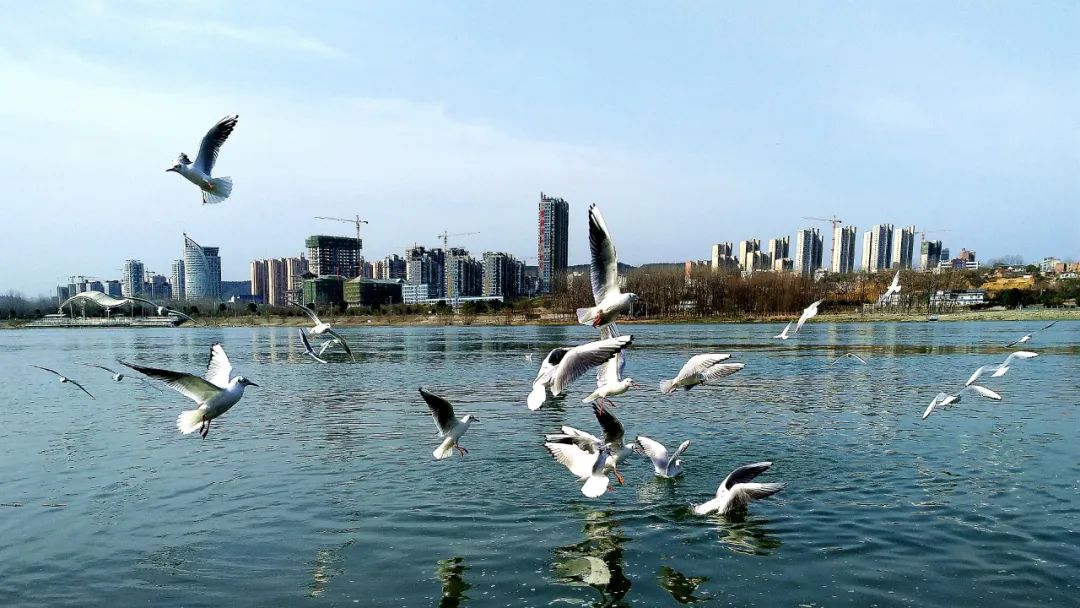 丹江水都.净乐宫二日游