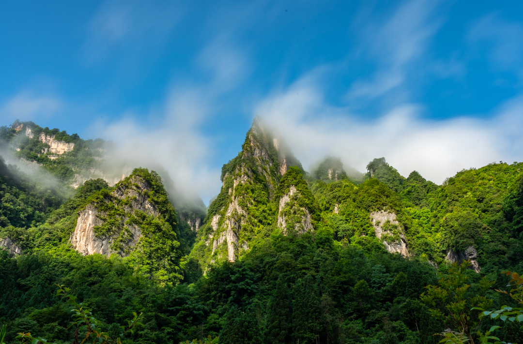 梦境光雾山.多彩米仓山二日游