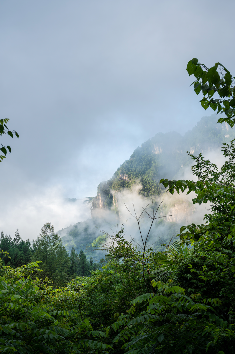 梦境光雾山.多彩米仓山二日游