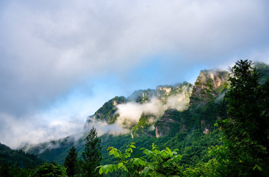 梦境光雾山.多彩米仓山二日游