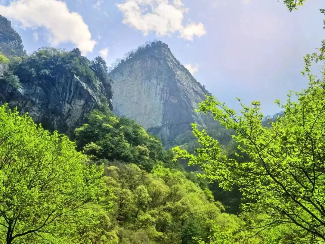 宝鸡青峰峡森林公园