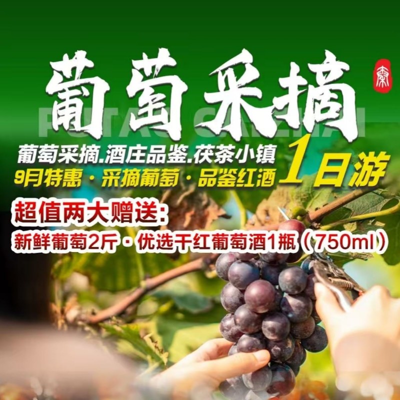 葡萄采摘.茯茶小镇一日游