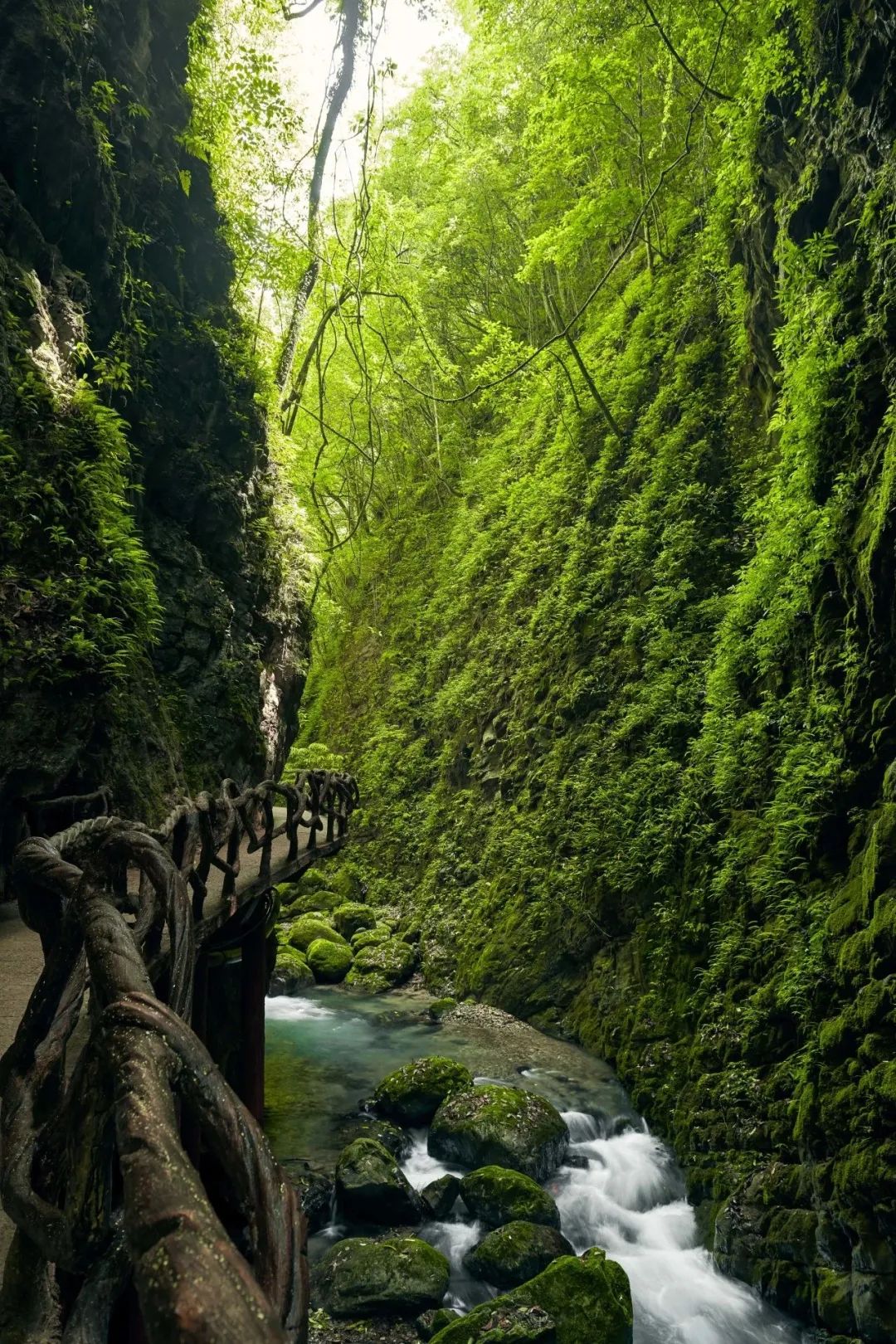 网红巴山大峡谷大象洞.桃溪谷.罗盘顶.画架沟全景3日游