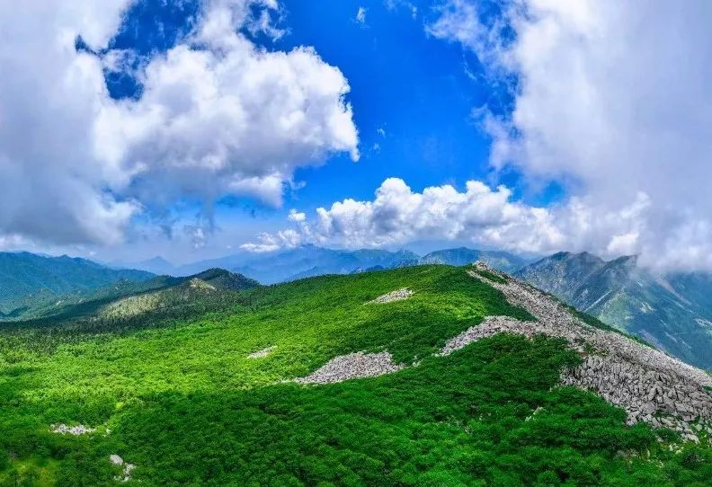 陕西旅游年卡
