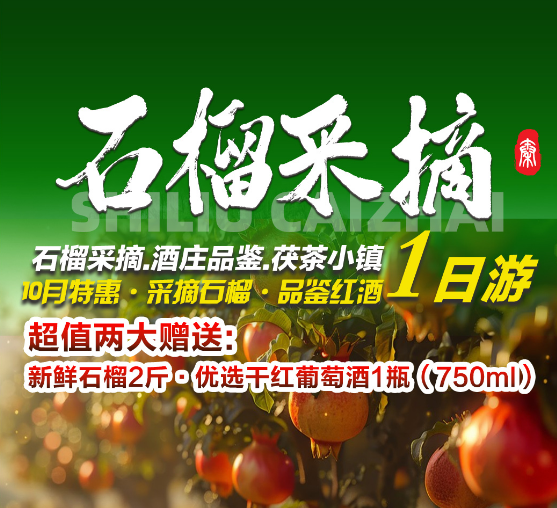 石榴采摘.茯茶小镇一日游