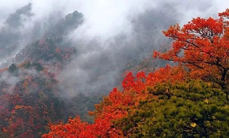 团标峪赏红叶一日游