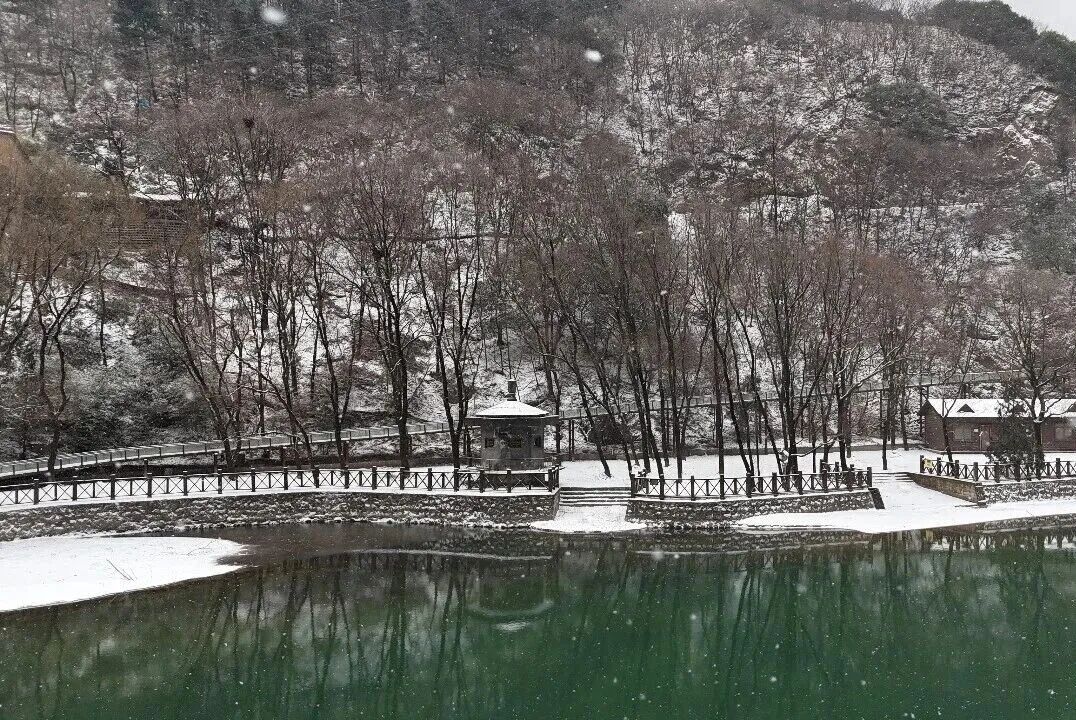 2026全年免门票！属马的你，即刻出发，邂逅太白山的冰雪奇缘~太白山森林公园一日游每周三/六/日发团！