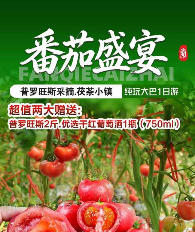 甲邑普罗旺斯番茄采摘.茯茶小镇一日游