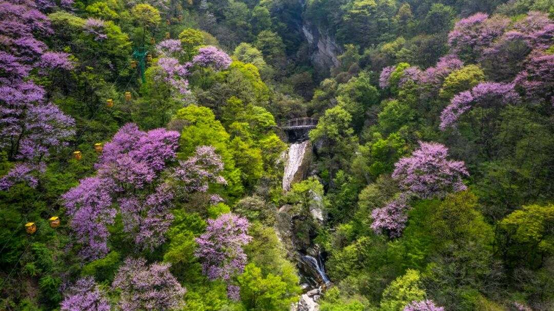 太平国家森林公园