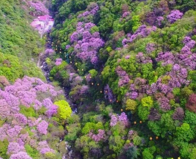 太平国家森林公园