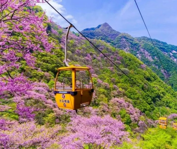 太平国家森林公园