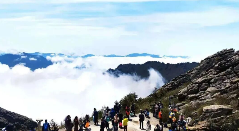 118元朱雀森林公园一日游攻略，每周二/四/六/日发团