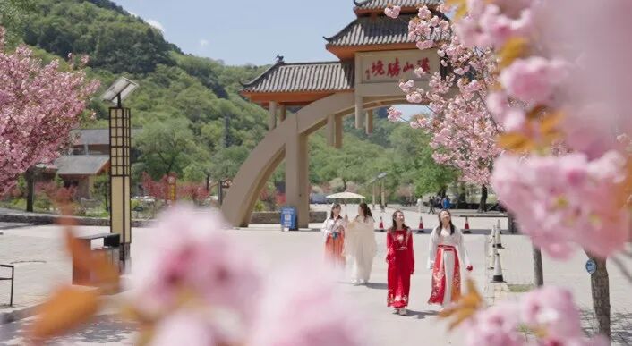 溪山胜境.浪漫樱花.国色牡丹特惠纯玩一日游