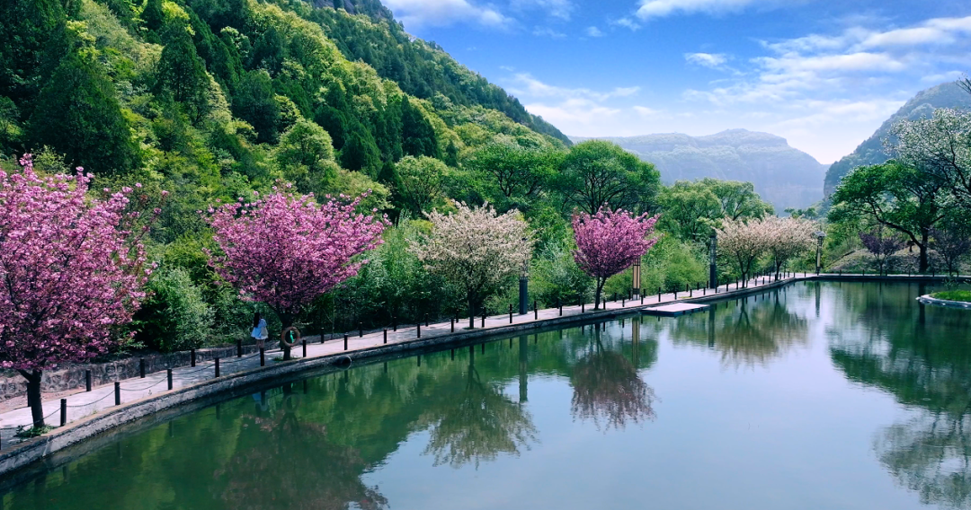 溪山胜境.浪漫樱花.国色牡丹特惠纯玩一日游