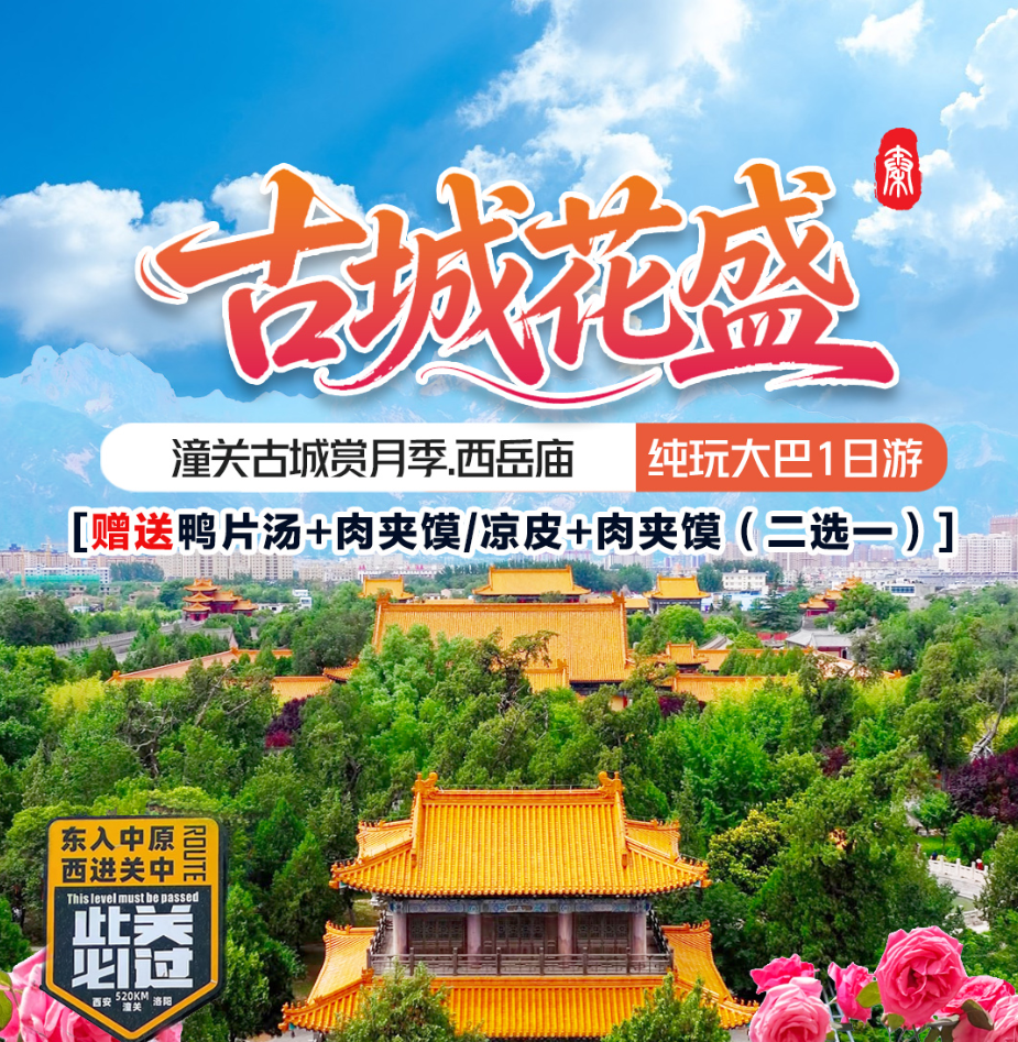 潼关古城赏月季.西岳庙 纯玩大巴1日游