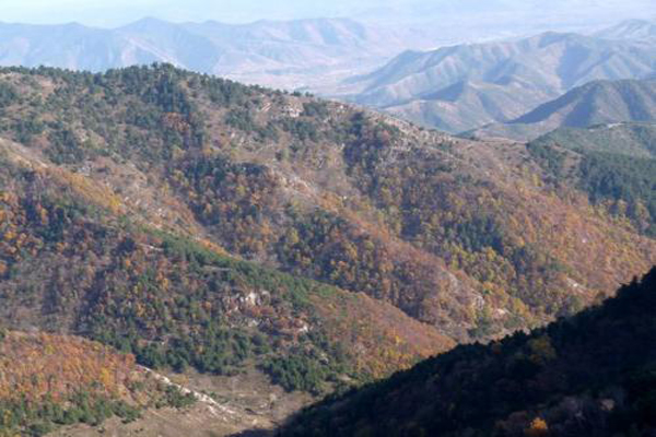 洛南云蒙山景区