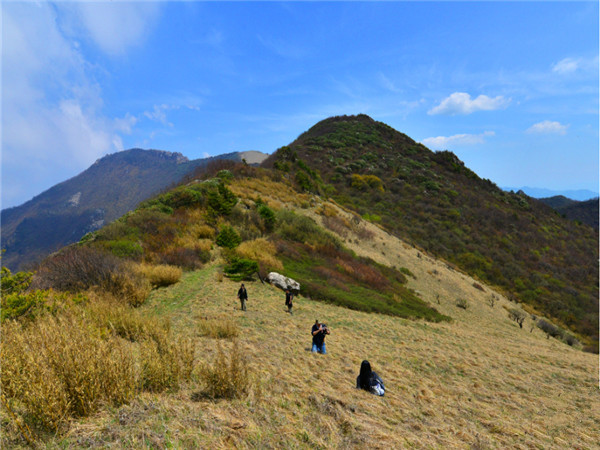 商洛终南山秦楚古道图片