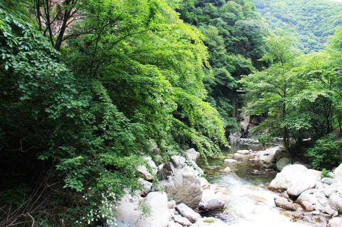 秦岭国家植物园