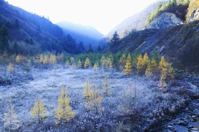 神河源神田草原