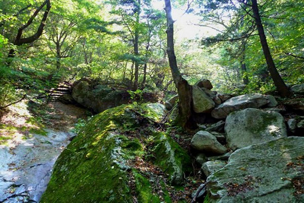 大坝沟沣峪庄园