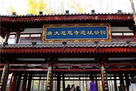 唐大慈恩寺遗址公园