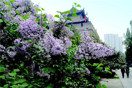 环城公园