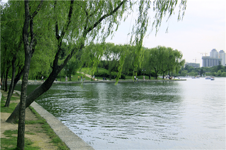 兴庆公园