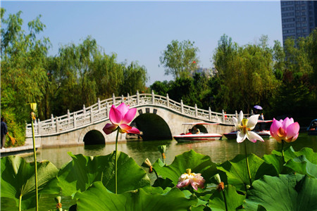 丰庆公园