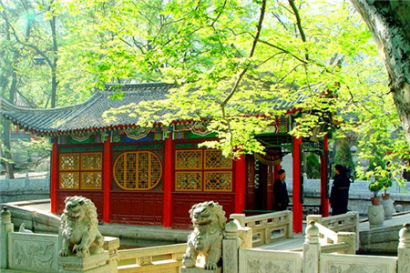玉泉院