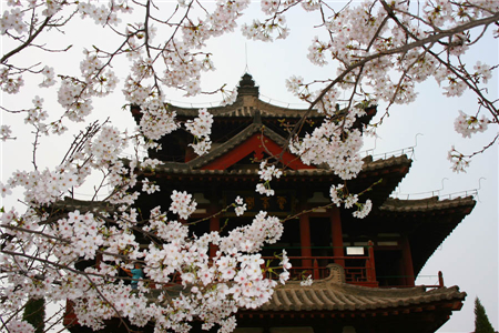 青龙寺