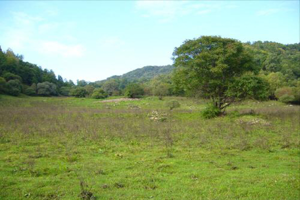青峰山风景区