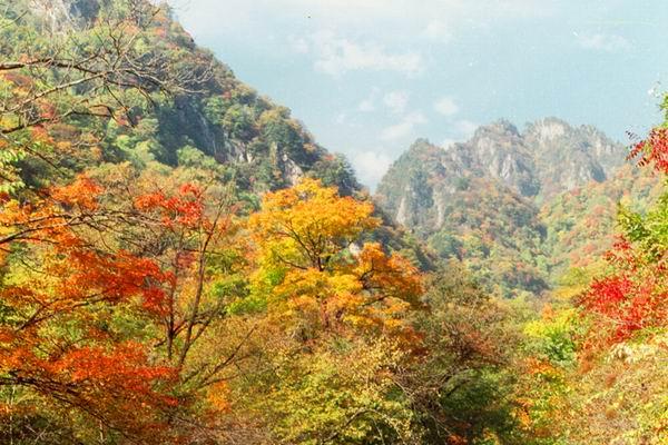 红河谷森林公园