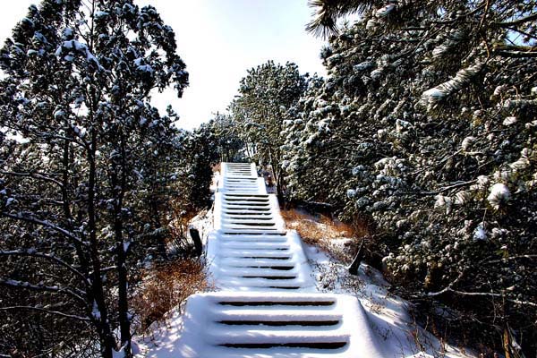 陕西蟒头山国家森林公园