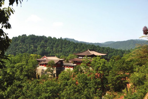 黄陵桥山森林公园