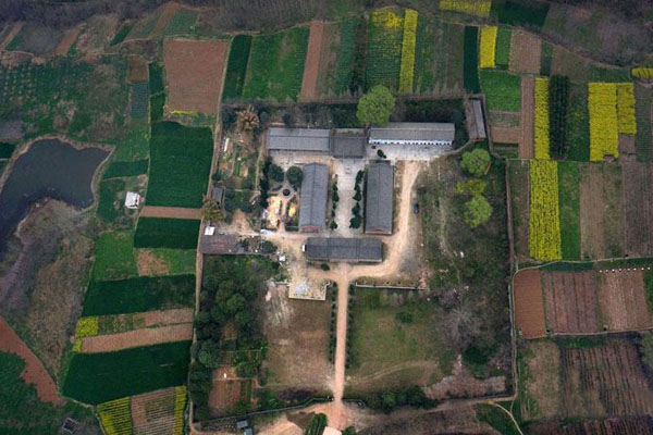龙岗寺遗址（又称龙岗寺古人类遗址）