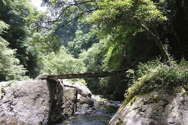 化龙山国家级自然保护区
