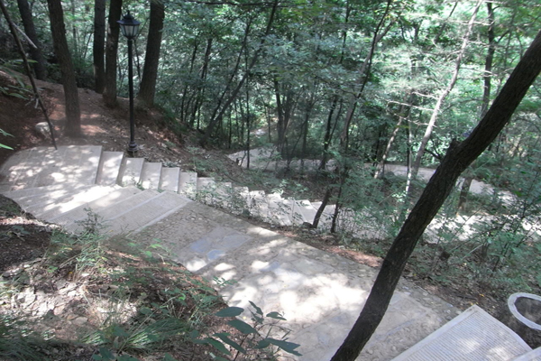 山阳苍龙山森林公园