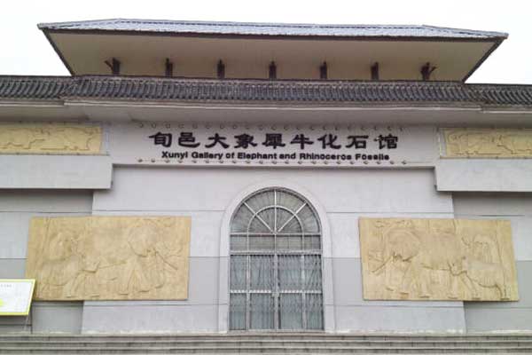 旬邑大象犀牛化石馆