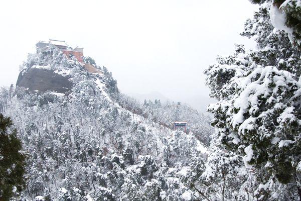 照金香山