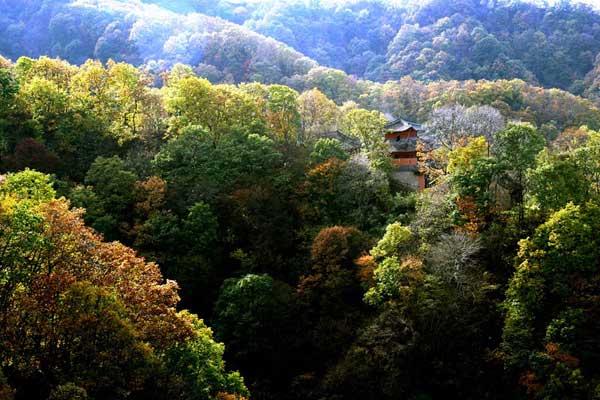 云台山旅游攻略报团购价？宝鸡云台山风景区介绍？
