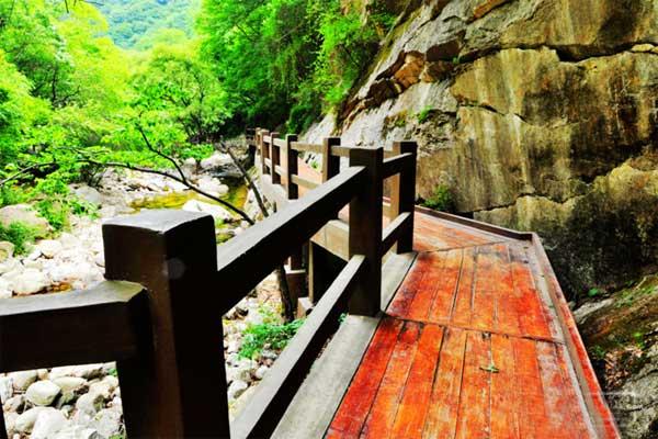 少华山免票政策？少华山国家森林公园怎么样？