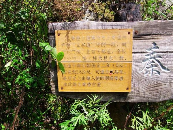 秦楚古道景区介绍？秦楚古道景区在哪里？