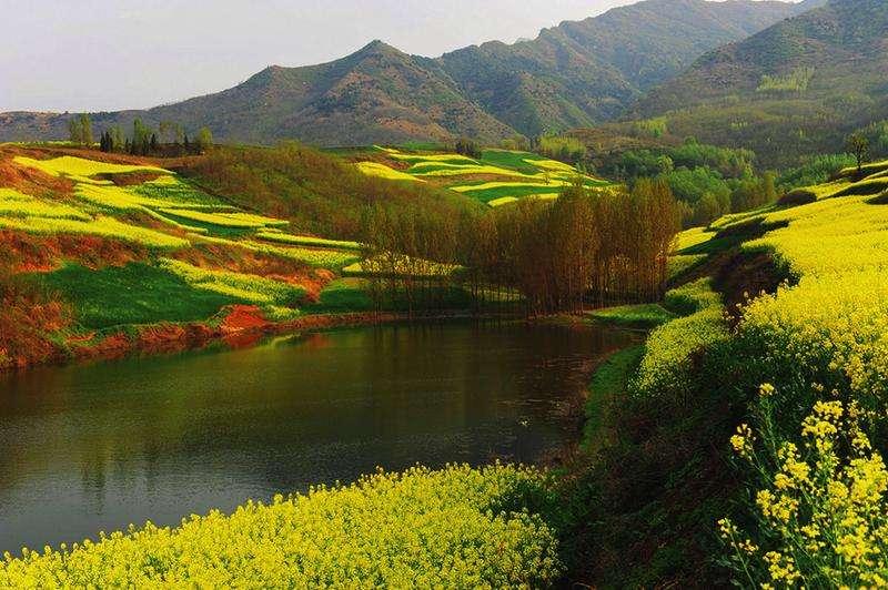 秦岭国家植物园门票优惠政策？秦岭植物园老年人免票吗?秦岭国家植物园门票多少钱？