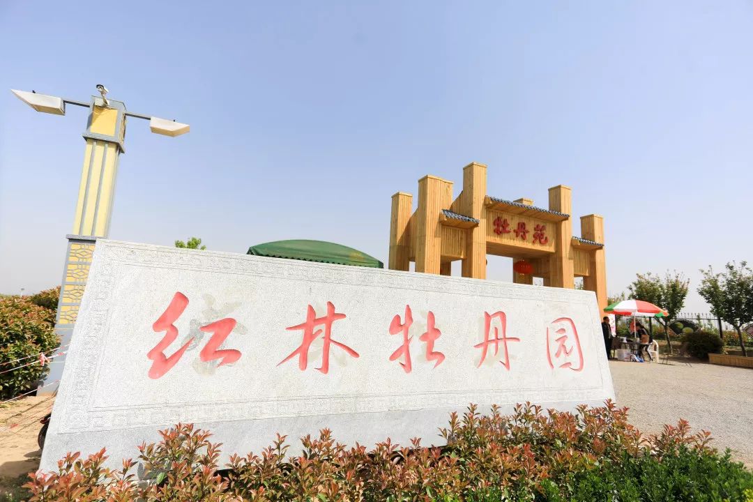 红林牡丹园