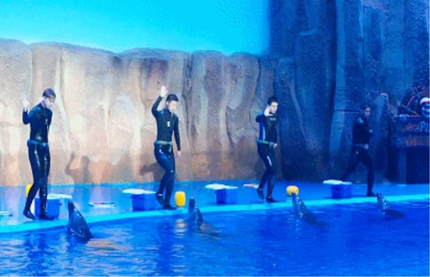 来自华夏文旅海洋公园网红项目的尖叫！下雨天也阻挡不了~