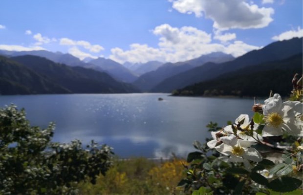 新疆天山天池景区游人如织