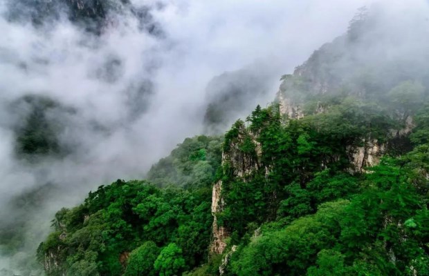 陕西这一景区发布好消息！9月份柞水人持身份证免费游牛背梁啦