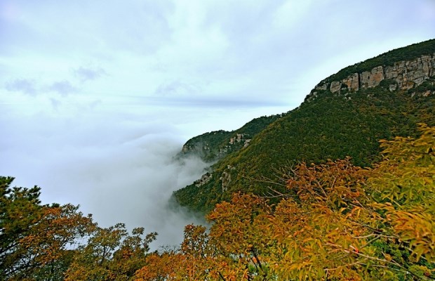 游客晕倒在景区 庐山公安爬千级陡峭台阶救助