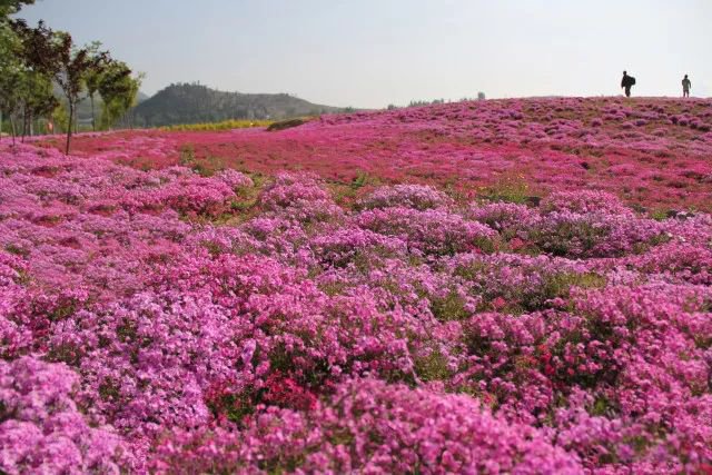 废弃矿山生态修复 打造文旅农融合景区